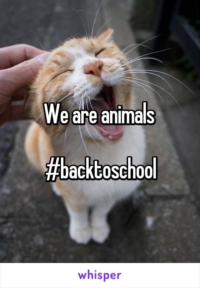 We are animals 

#backtoschool