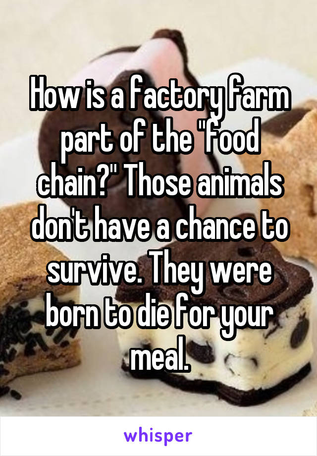 How is a factory farm part of the "food chain?" Those animals don't have a chance to survive. They were born to die for your meal.