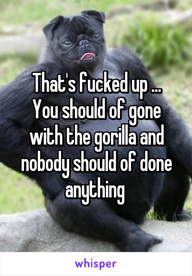 That's fucked up ...
You should of gone with the gorilla and nobody should of done anything 