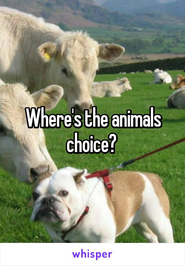 Where's the animals choice? 