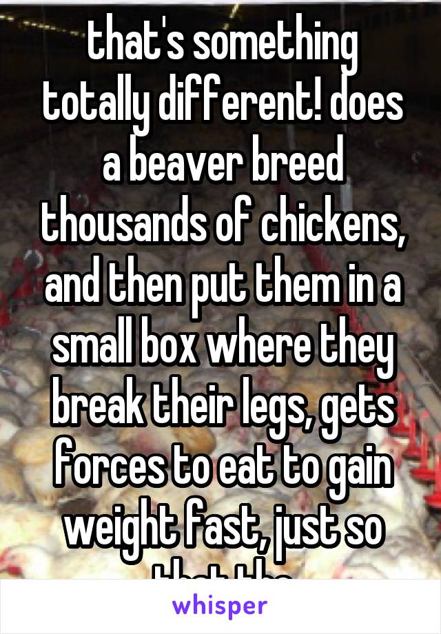 that's something totally different! does a beaver breed thousands of chickens, and then put them in a small box where they break their legs, gets forces to eat to gain weight fast, just so that the