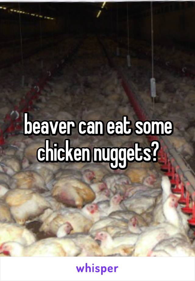 beaver can eat some chicken nuggets?