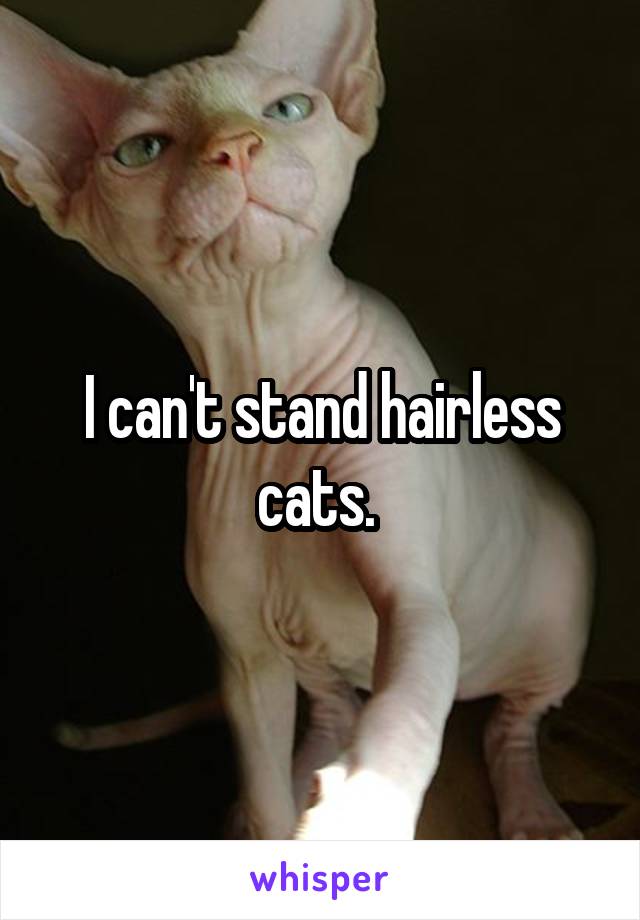 I can't stand hairless cats. 