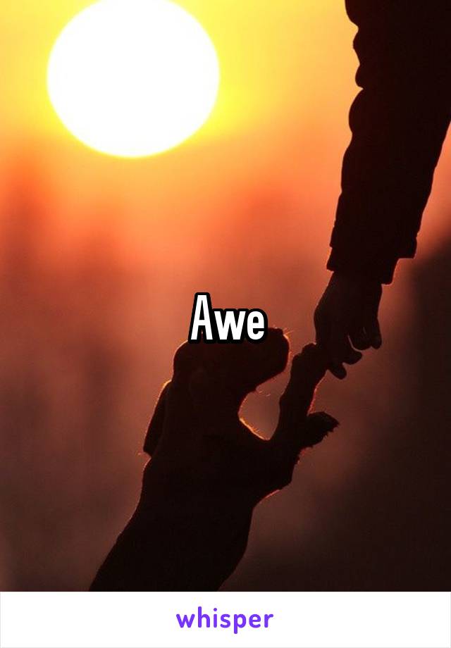 Awe