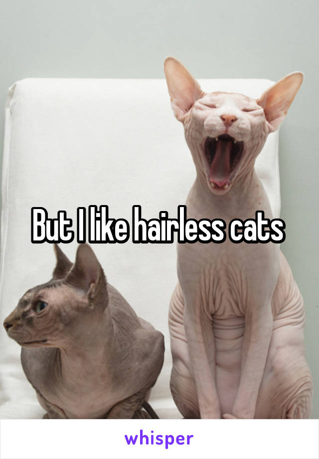 But I like hairless cats 