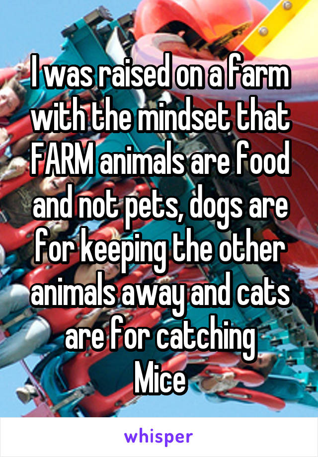 I was raised on a farm with the mindset that FARM animals are food and not pets, dogs are for keeping the other animals away and cats are for catching
Mice