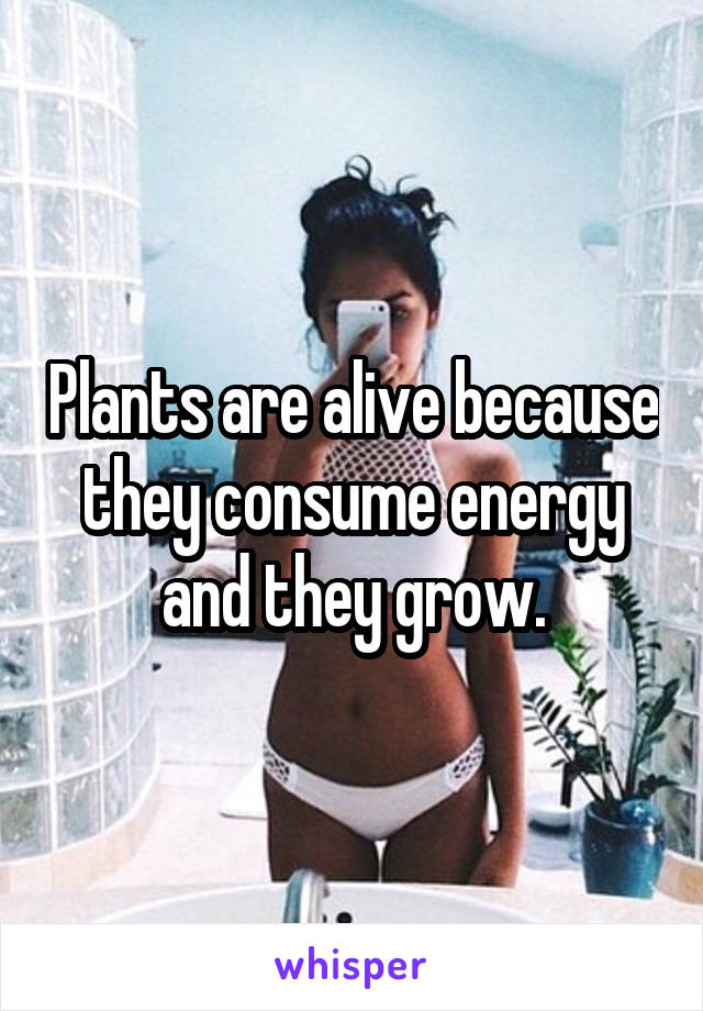 Plants are alive because they consume energy and they grow.