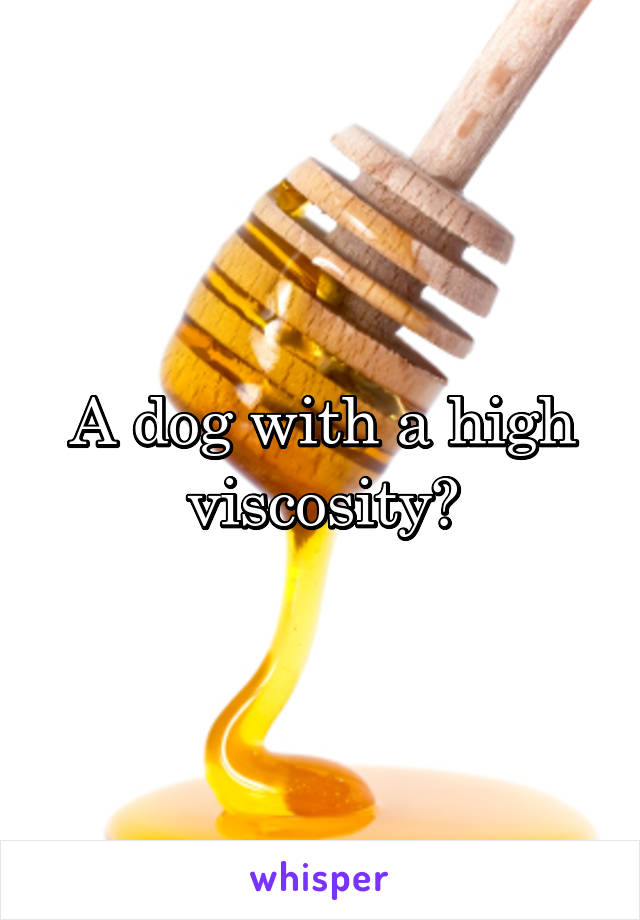 A dog with a high viscosity?