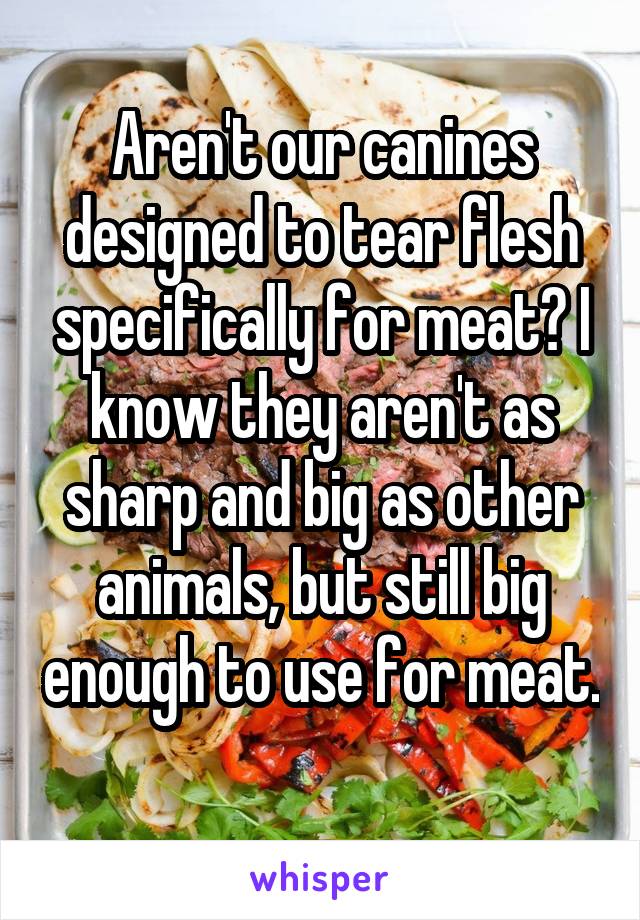 Aren't our canines designed to tear flesh specifically for meat? I know they aren't as sharp and big as other animals, but still big enough to use for meat. 