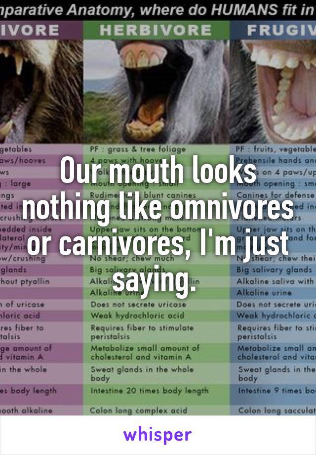 Our mouth looks nothing like omnivores or carnivores, I'm just saying. 