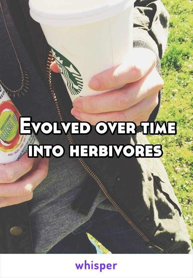 Evolved over time into herbivores 