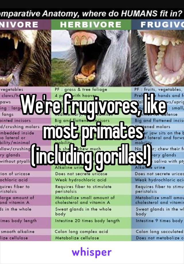 We're frugivores, like most primates (including gorillas!) 