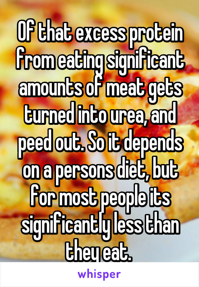 Of that excess protein from eating significant amounts of meat gets turned into urea, and peed out. So it depends on a persons diet, but for most people its significantly less than they eat. 