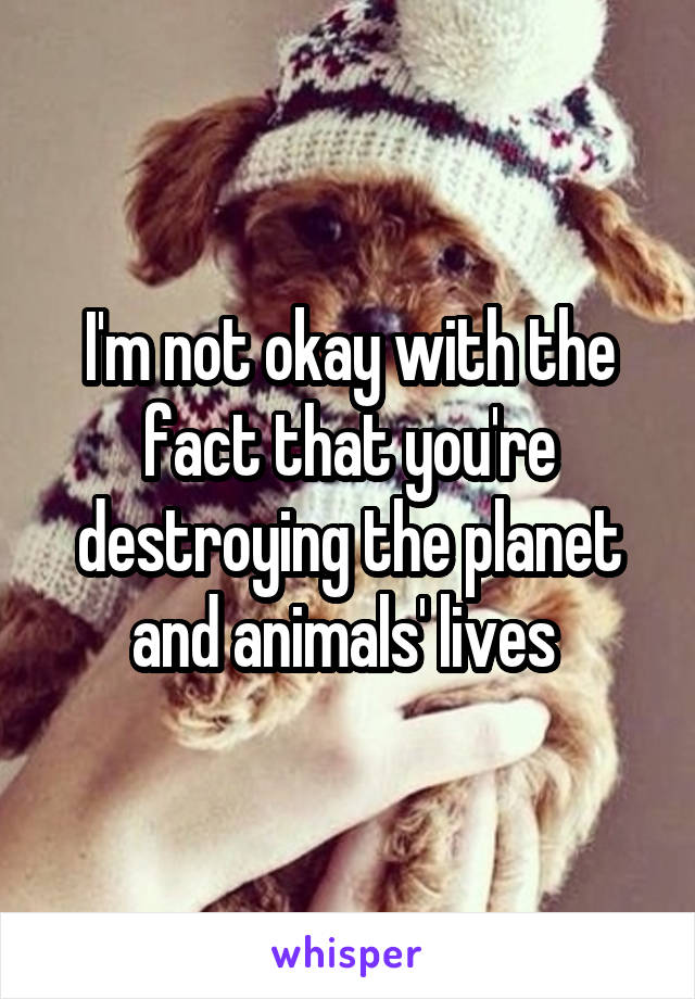 I'm not okay with the fact that you're destroying the planet and animals' lives 