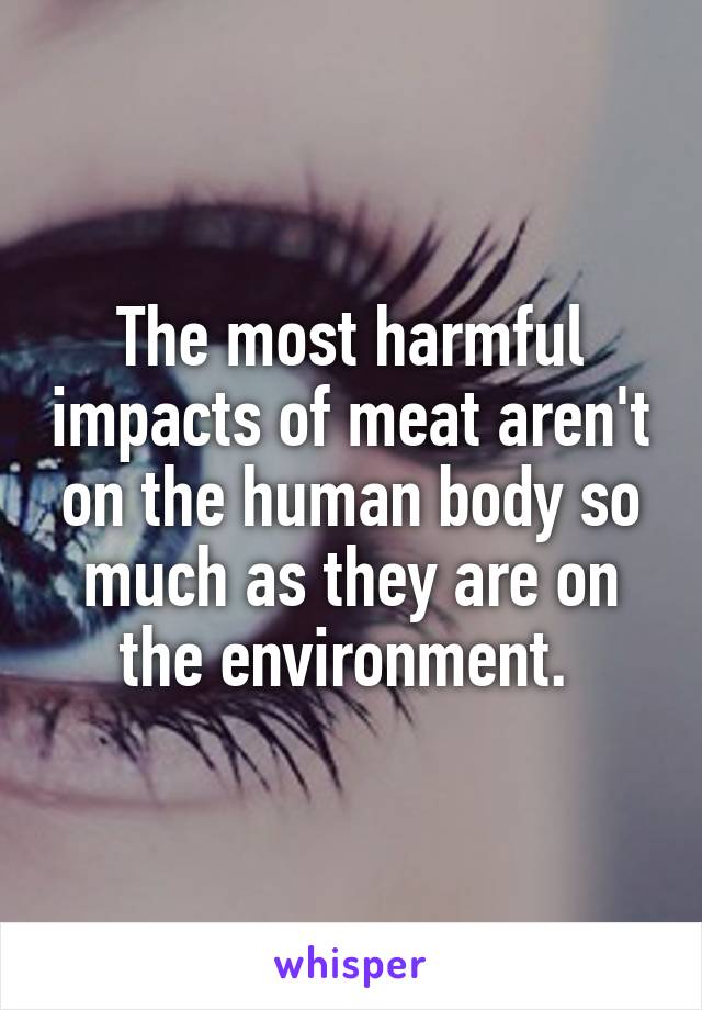 The most harmful impacts of meat aren't on the human body so much as they are on the environment. 