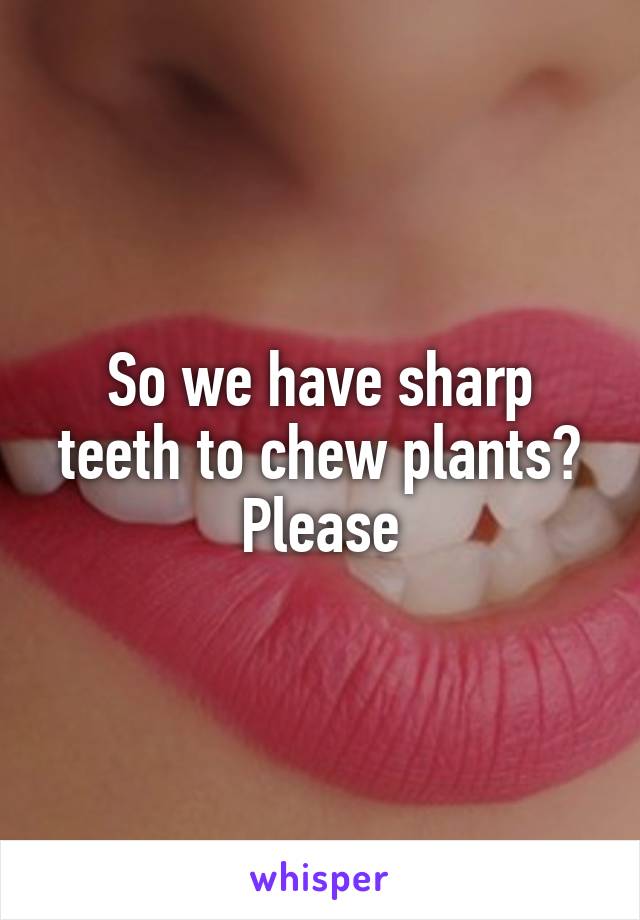 So we have sharp teeth to chew plants? Please