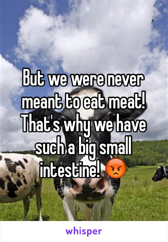 But we were never meant to eat meat! That's why we have such a big small intestine! 😡