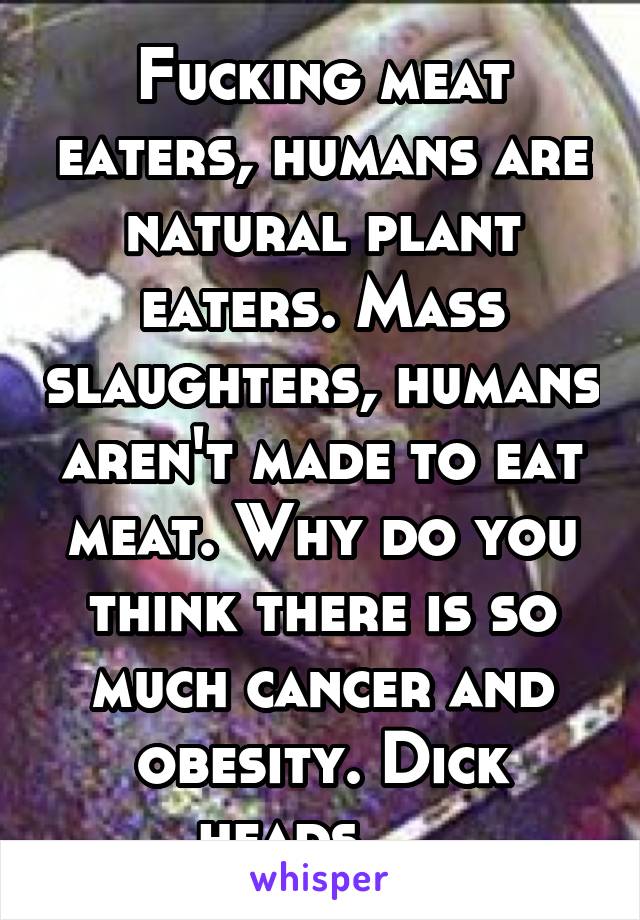 Fucking meat eaters, humans are natural plant eaters. Mass slaughters, humans aren't made to eat meat. Why do you think there is so much cancer and obesity. Dick heads.    