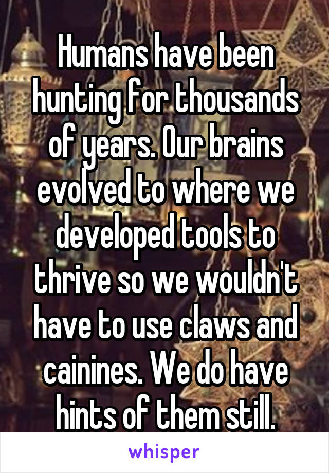 Humans have been hunting for thousands of years. Our brains evolved to where we developed tools to thrive so we wouldn't have to use claws and cainines. We do have hints of them still.