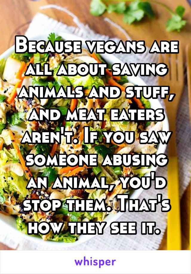 Because vegans are all about saving animals and stuff, and meat eaters aren't. If you saw someone abusing an animal, you'd stop them. That's how they see it. 