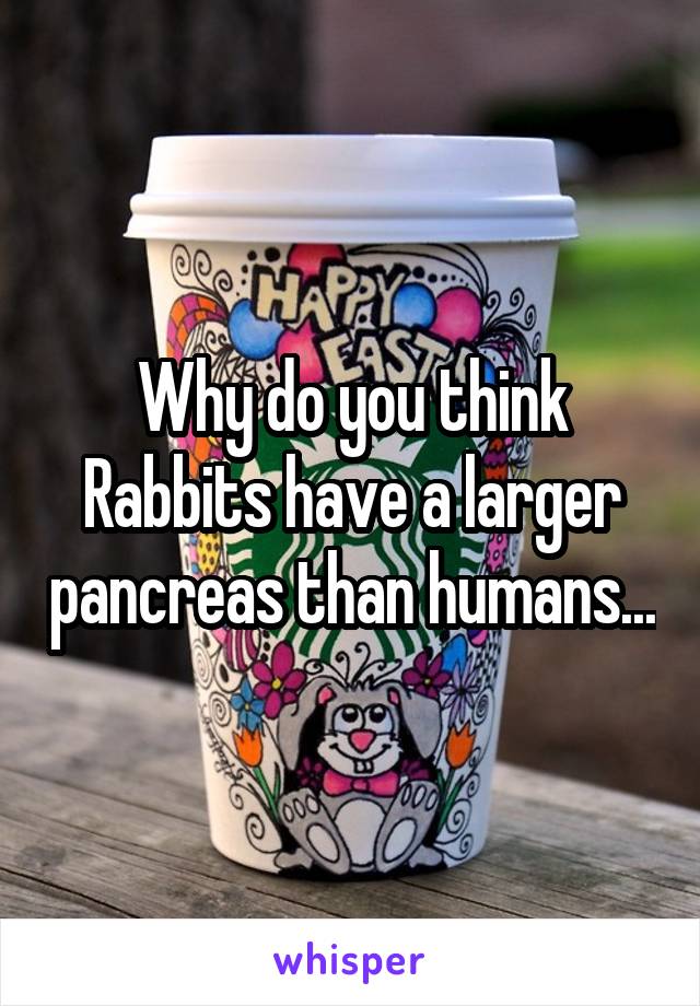 Why do you think Rabbits have a larger pancreas than humans...