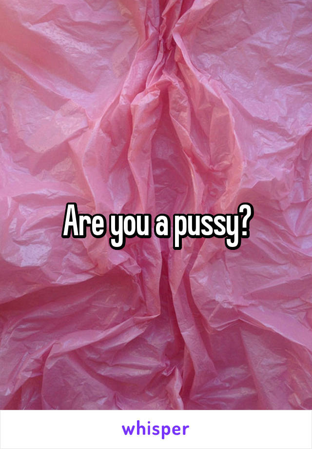 Are you a pussy?