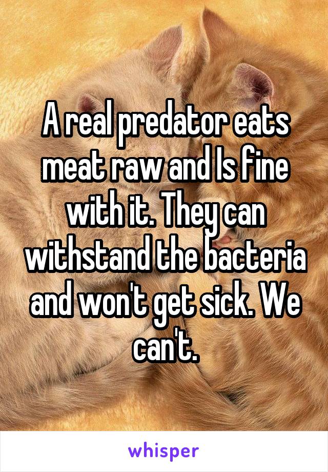 A real predator eats meat raw and Is fine with it. They can withstand the bacteria and won't get sick. We can't.