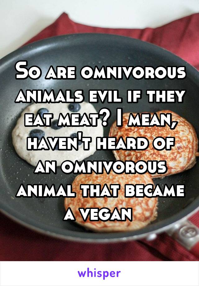 So are omnivorous animals evil if they eat meat? I mean, haven't heard of an omnivorous animal that became a vegan 