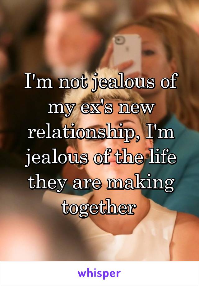 I'm not jealous of my ex's new relationship, I'm jealous of the life they are making together 
