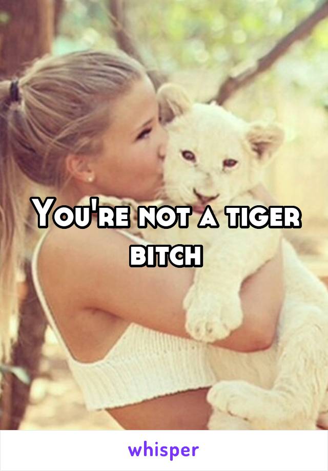 You're not a tiger bitch