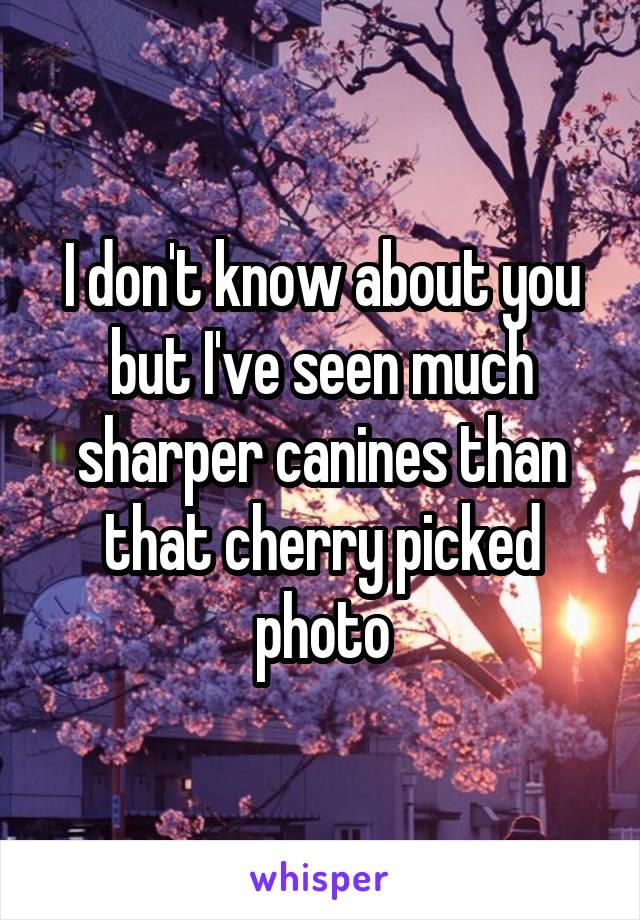 I don't know about you but I've seen much sharper canines than that cherry picked photo