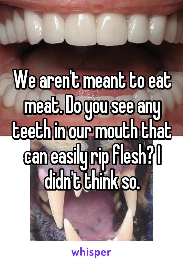 We aren't meant to eat meat. Do you see any teeth in our mouth that can easily rip flesh? I didn't think so.