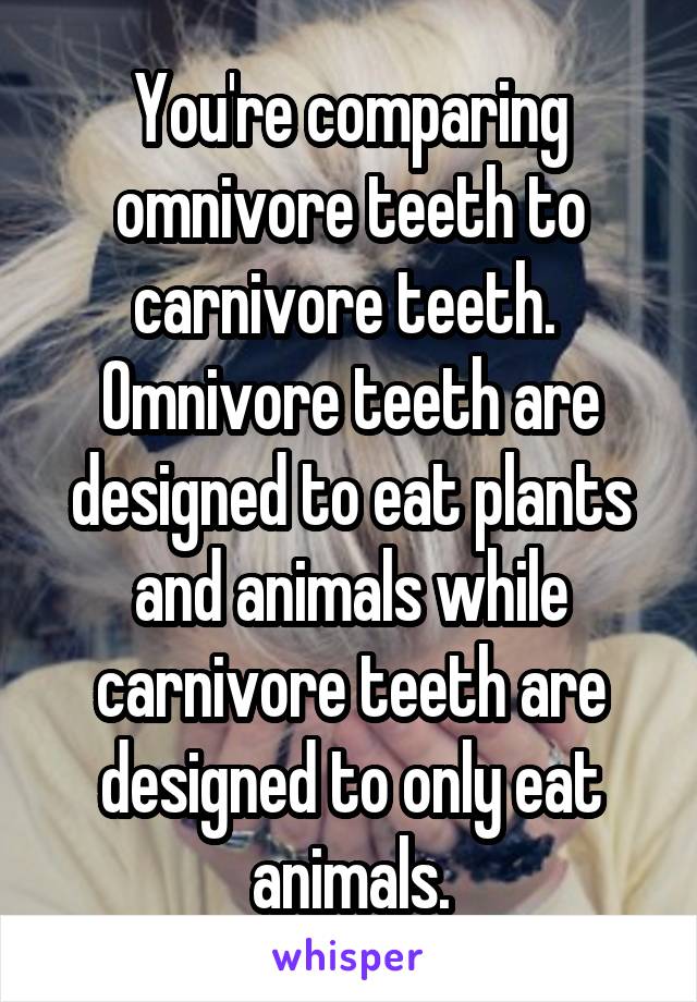 You're comparing omnivore teeth to carnivore teeth.  Omnivore teeth are designed to eat plants and animals while carnivore teeth are designed to only eat animals.