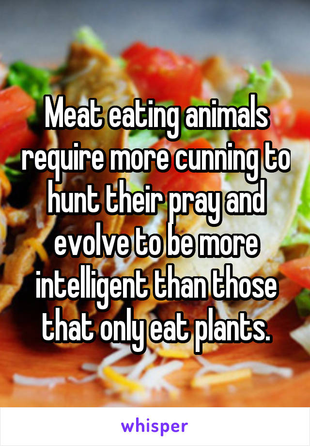 Meat eating animals require more cunning to hunt their pray and evolve to be more intelligent than those that only eat plants.