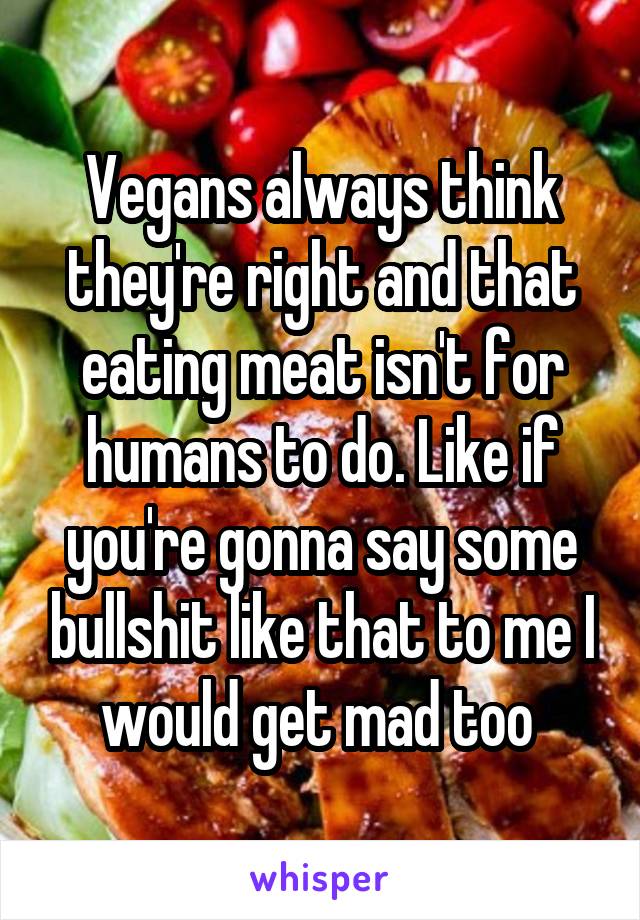 Vegans always think they're right and that eating meat isn't for humans to do. Like if you're gonna say some bullshit like that to me I would get mad too 