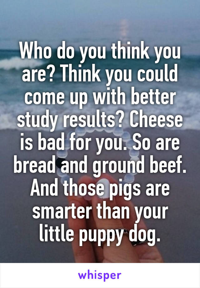 Who do you think you are? Think you could come up with better study results? Cheese is bad for you. So are bread and ground beef. And those pigs are smarter than your little puppy dog.