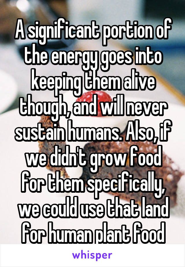 A significant portion of the energy goes into keeping them alive though, and will never sustain humans. Also, if we didn't grow food for them specifically, we could use that land for human plant food