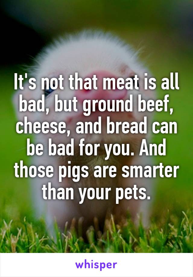 It's not that meat is all bad, but ground beef, cheese, and bread can be bad for you. And those pigs are smarter than your pets.