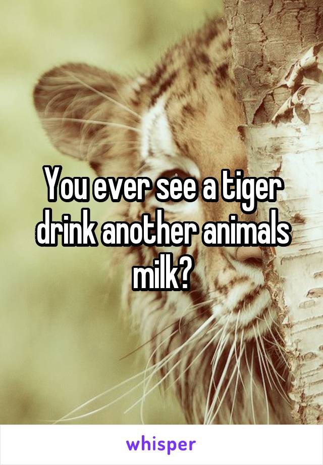 You ever see a tiger drink another animals milk?