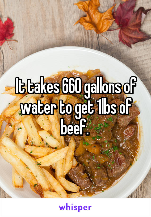 It takes 660 gallons of water to get 1lbs of beef. 