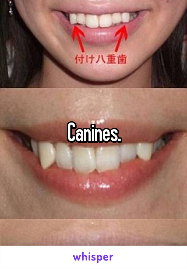 Canines.