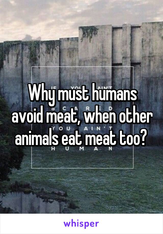 Why must humans avoid meat, when other animals eat meat too? 