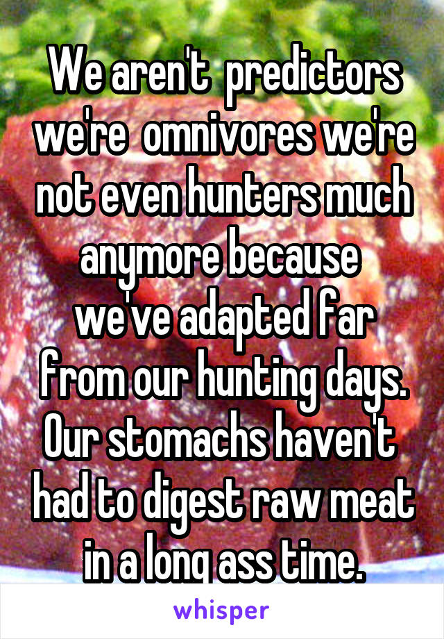 We aren't  predictors we're  omnivores we're not even hunters much anymore because  we've adapted far from our hunting days. Our stomachs haven't  had to digest raw meat in a long ass time.