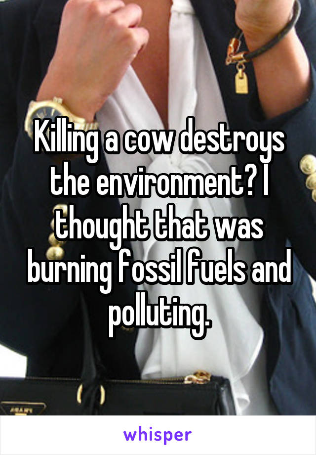 Killing a cow destroys the environment? I thought that was burning fossil fuels and polluting.