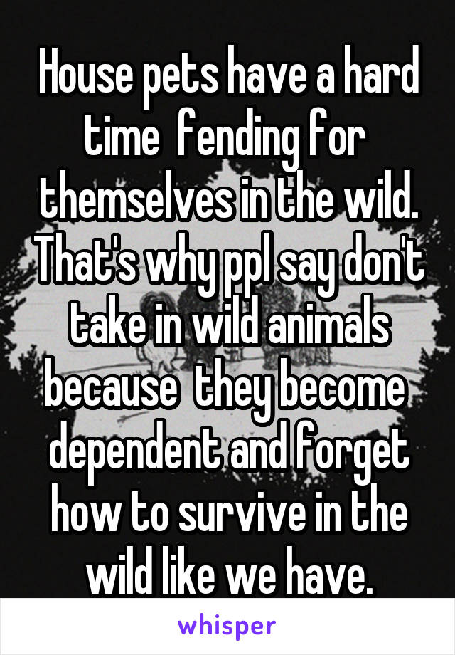 House pets have a hard time  fending for  themselves in the wild. That's why ppl say don't take in wild animals because  they become  dependent and forget how to survive in the wild like we have.