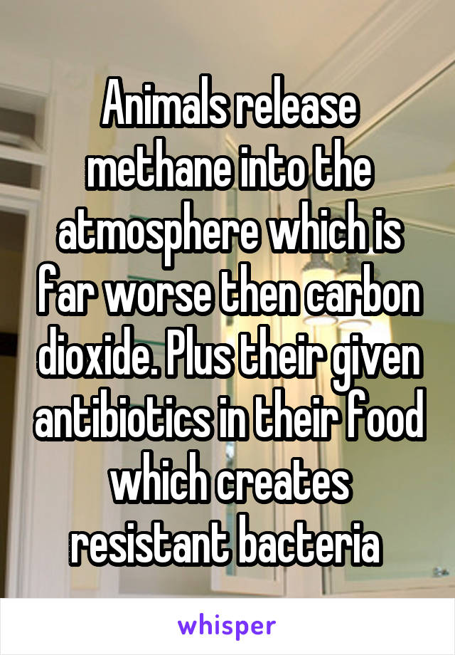 Animals release methane into the atmosphere which is far worse then carbon dioxide. Plus their given antibiotics in their food which creates resistant bacteria 