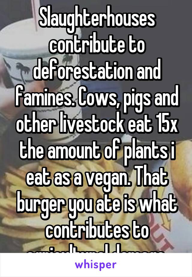 Slaughterhouses contribute to deforestation and famines. Cows, pigs and other livestock eat 15x the amount of plants i eat as a vegan. That burger you ate is what contributes to agricultural damage.