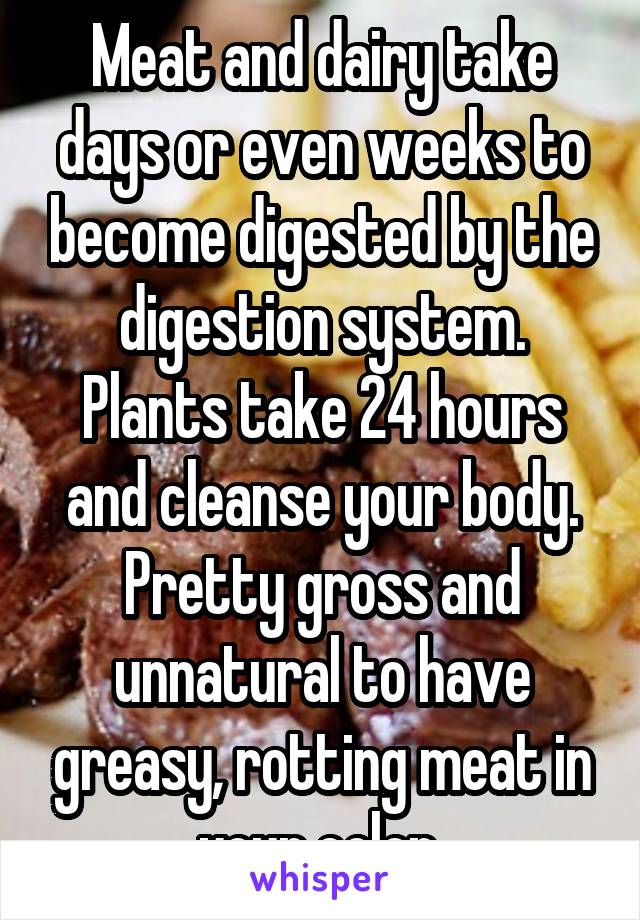 Meat and dairy take days or even weeks to become digested by the digestion system. Plants take 24 hours and cleanse your body. Pretty gross and unnatural to have greasy, rotting meat in your colon.