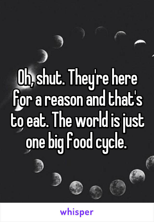 Oh, shut. They're here for a reason and that's to eat. The world is just one big food cycle. 