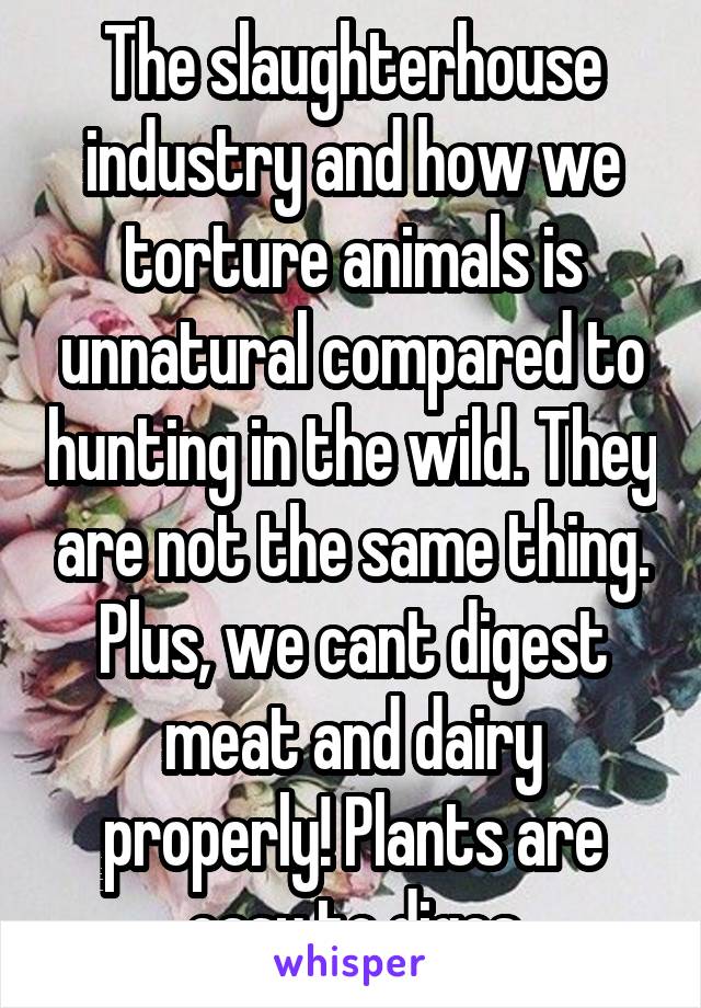 The slaughterhouse industry and how we torture animals is unnatural compared to hunting in the wild. They are not the same thing. Plus, we cant digest meat and dairy properly! Plants are easy to diges